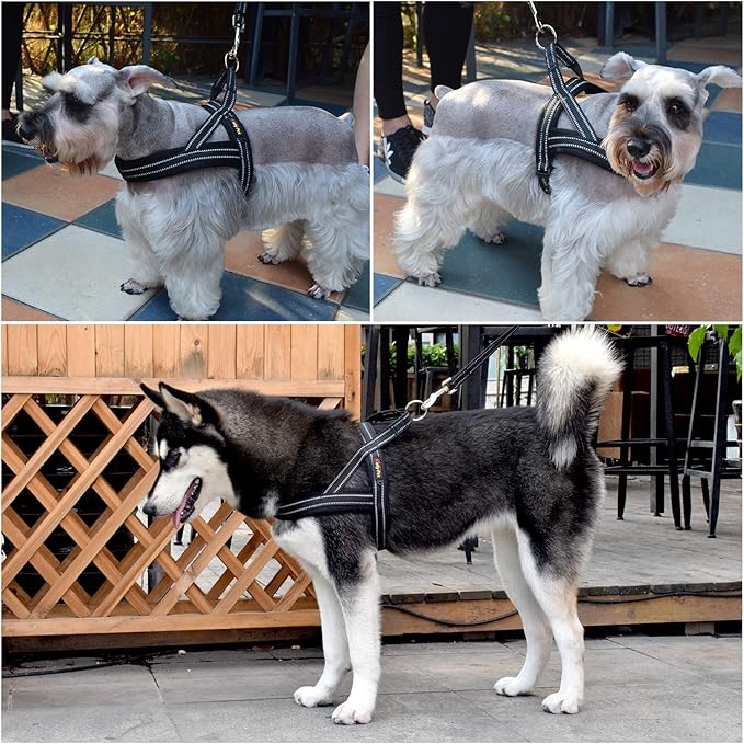 Dog Harness No Pull Easy Padded Pet Harness with Adjustable Botton Front Clip Reflective Puppy Harnesses for Small Medium Large Dogs (Black,XS)