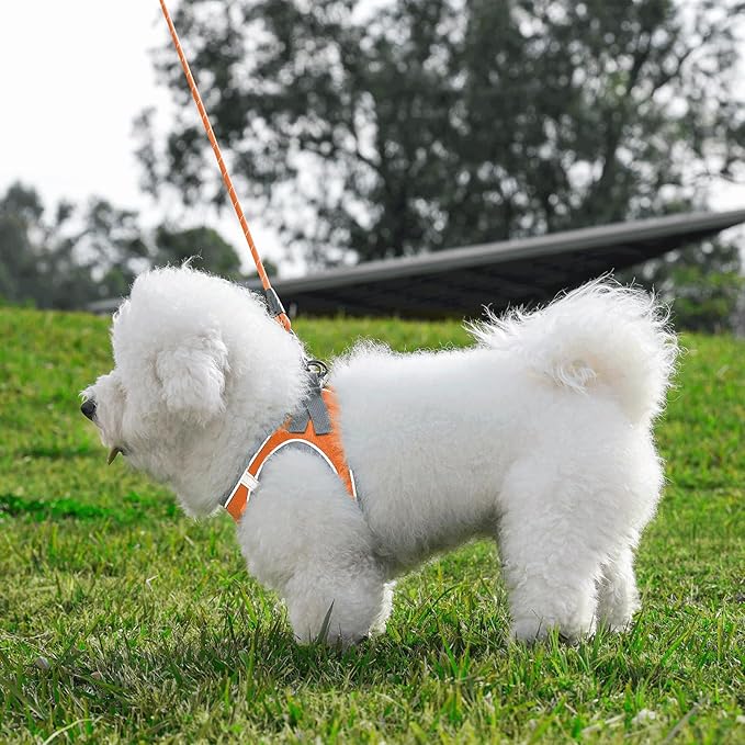 Dog Harness with Leash Set, Adjustable Soft Mesh Padded Reflective Dog Harnesse, Dog Leash with Soft Padded Handle, Puppy Harness and Leash Set for Walking,Training - Orange, XS