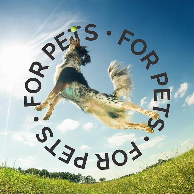 Bark2Basics Wild Berry Dog Shampoo, 16 oz - Naturally Derived, Unique Herbal Blend, For Dry Itchy Skin, Gentle, Moisturizing