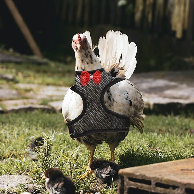 Balacoo Chicken Harness - Chicken Traction Rope Elastic Breathable Adjustable Pet Harness Vest Washable Xmas Pet Set for Chicks, Geese, Hen, (Black M)