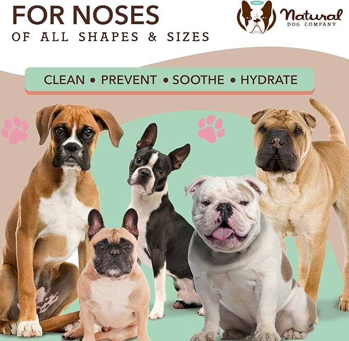 Natural Dog Snout Wipes, 50 Count - Snout Dog Wipes for Cleaning and Soothing, Natural, Non-Toxic Dog Care Products, Kukui Oil Infused, Snout Soother Wipes, Nourishing and Moisturizing Wipes for Dogs