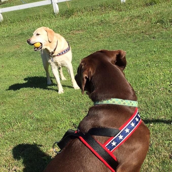 ComfortFlex Sport Harness - American Made No Pull Patriotic Dog Harness for Small, Medium, Large Dogs - Lightweight, Padded, No Rub Harness for Walking, Running and Control - Medium/Large, The Patriot