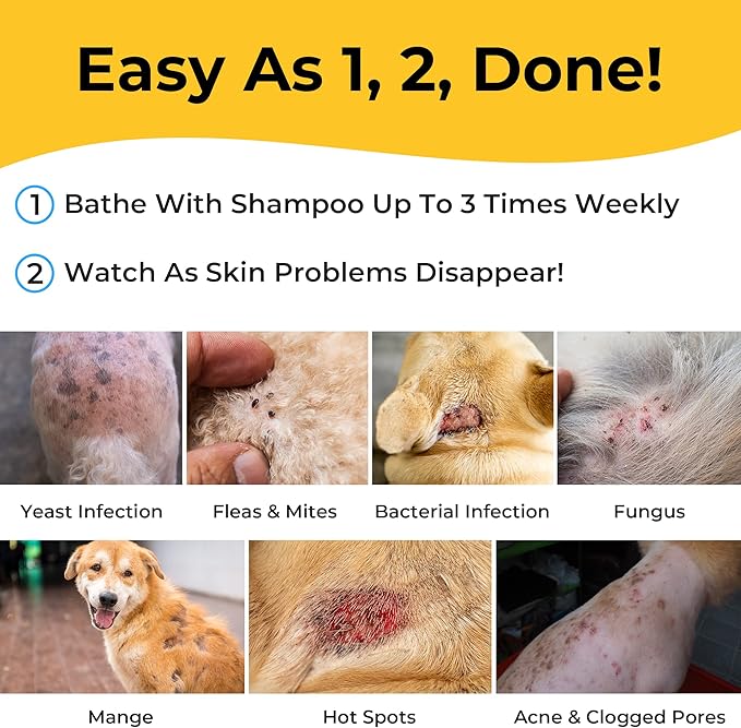 Smiling Paws Pets - Itch Relief Shampoo & Brush for Pets - Contains Benzoyl Peroxide - Kills Fleas - Relieves Allergies, Itching, Dermatitis, Mange, Dandruff, Acne, Demodex, Seborrhea, Pyoderma - 12oz