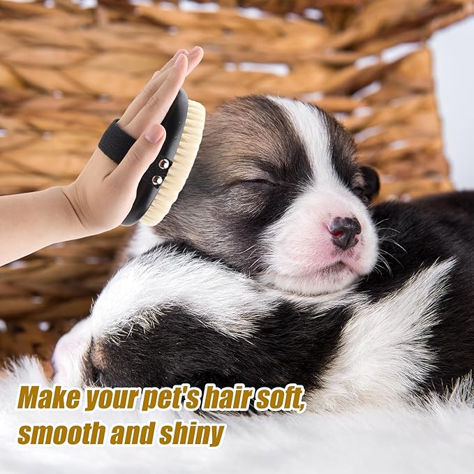 Pet Palm Brush for Dogs & Cats, Puppy Hand Brush for Massaging Grooming Shedding, Soft Bristle Kitten Brush Efficient Pet Loose Hair Remover Comb Supplies for Long and Short Hair Pets(Black)