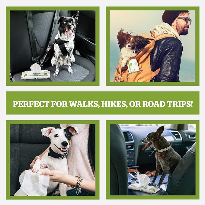 Pogi’s Dog Wipes Travel Packs – Hypoallergenic Pet Wipes for Paws, Body & Butt – Cleaning & Hydrating, Green Tea Scent, 240-Count