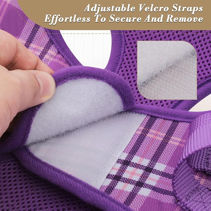 Athena Collection Step-in Dog Harness with 5 ft Leash, Large Dog Harness Leash Set Large No Pull Dog Vest Harness with Reflective Strips Adjustable Velcro, Easy Walk Dog Harness, Purple