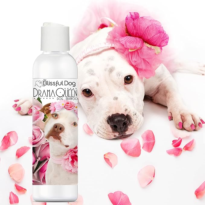 The Blissful Dog Staffy Bull Drama Queen Shampoo, 16 oz.