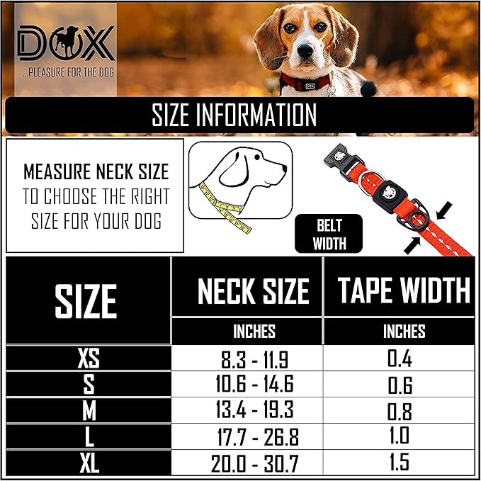 DDOXX Reflective Nylon Dog Collar - Strong and Adjustable Collars Dogs - XS (Orange)