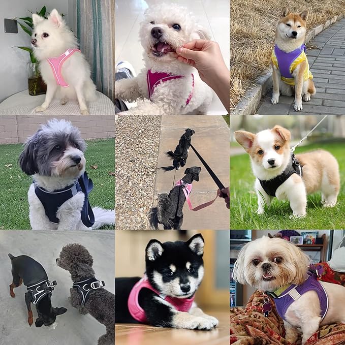 Dog Harness with Leash Set, No-Pull Step-in Reflective Pet Harness with 1 Leash Clips, Adjustable Soft Padded Easy Walk Dog Vest for Small Medium Large Dogs, Cats(Dark Blue, XXSmall)