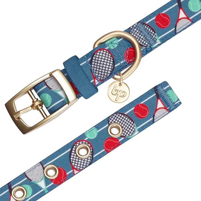 Blueberry Pet 5 Patterns Sports Fan Tennis Canvas Adjustable Dog Collar with Metal Buckle - Teal Blue, Neck 17-20.5", for Large Breed