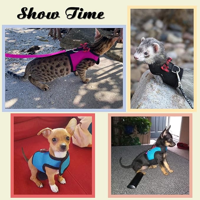 Rypet Small Animal Harness and Leash - Soft Mesh Small Pet Harness with Safe Bell, No Pull Comfort Padded Vest for Small Pet Pink M