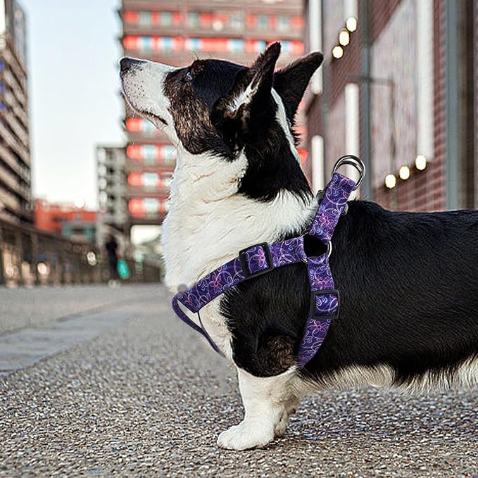 QQPETS Dog Harness Leash Set Adjustable Heavy Duty No Pull Halter Harnesses for Small Medium Large Breed Dogs Back Clip Anti-Twist Perfect for Walking