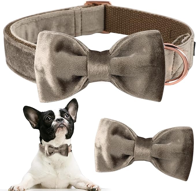 ARING PET Bowtie Dog Collar,Velvet Dog Collars with Detachable Bowtie, Adjustable Bow Tie Collar for Girl and Boy Dogs.