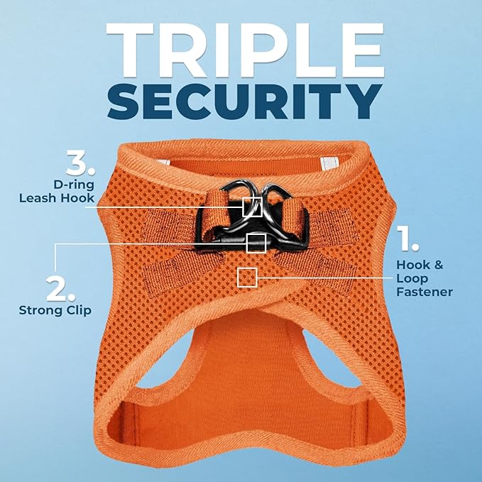 Voyager Step-In Air Dog Harness - All Weather Mesh, Reflective, No Pull Harness for Small, Medium Dogs, Cats - Secure with Hook & Loop Fastener, Buckle, Double D-Rings - Orange, XXXS