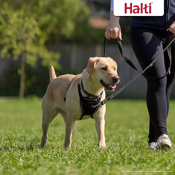 HALTI No Pull Harness Size Large & HALTI Training Leash Size Large, Black Combination Pack - Stop Your Dog Pulling on The Leash. Adjustable, Lightweight and Easy to Use. Suitable for Large Dogs