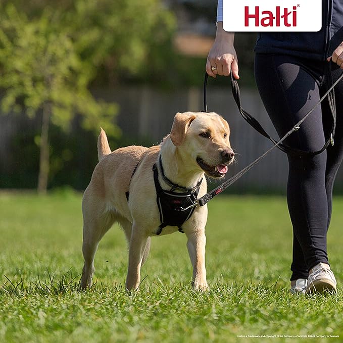HALTI No Pull Harness Size Medium & HALTI Training Leash Size Large, Black Combination Pack - Stop Your Dog Pulling on The Leash. Adjustable, Lightweight and Easy to Use. Suitable for Medium Dogs