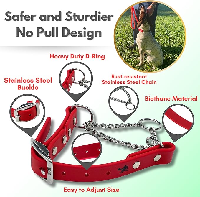 Martingale Collar for Dogs, Biothane, Stainless Steel Hardware, No Pull, Made in The USA, Professional Grade, XS, Red