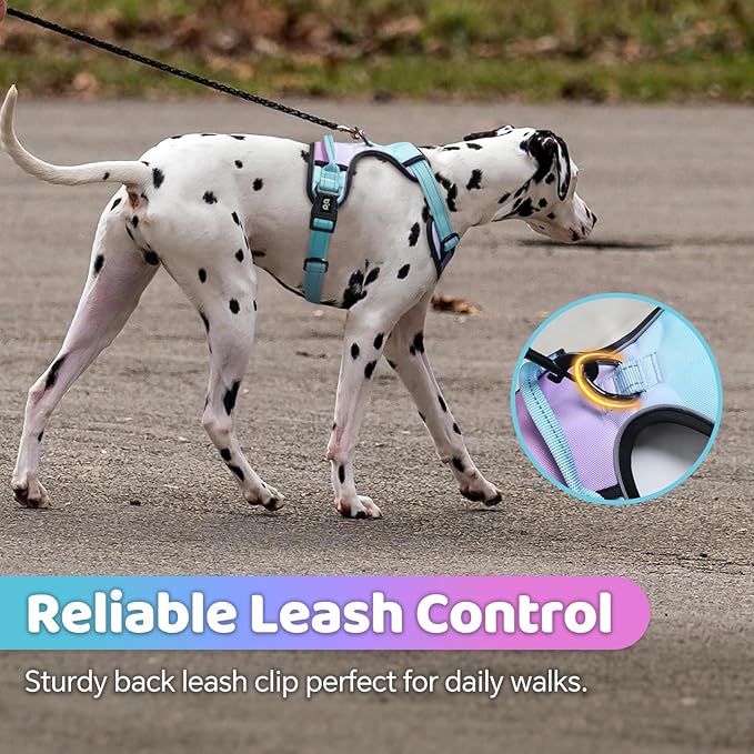 QQPETS No Pull Dog Harness with 2 Leash Clips，Adjustable Soft Padded Dog Vest, Reflective Outdoor Pet Oxford Vest with Easy Control Handle for Small to Large Dogs Walking Training