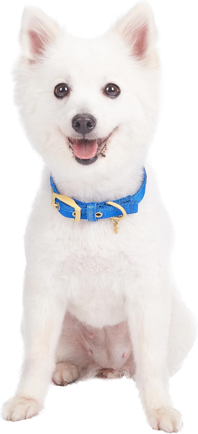 Blueberry Pet 6 Colors The Most Coveted Designer Mixed Metallic Thread Adjustable Dog Collar in Sparkling Azure Blue with Metal Buckle, Neck 17-20.5", for Large Breed