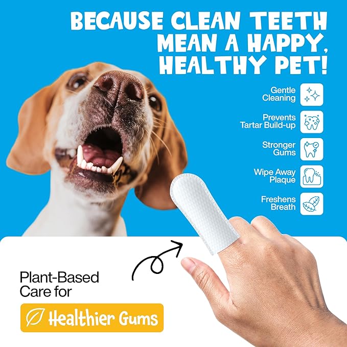 Mint Dental Care Wipes 60 Counts - Dogs Tooth Cleaning Wipes to Reduce Plaque & Tartar Buildup - Dogs and Cats Wipes for Cleaner Mouth - Dog Tooth Brushing Kit