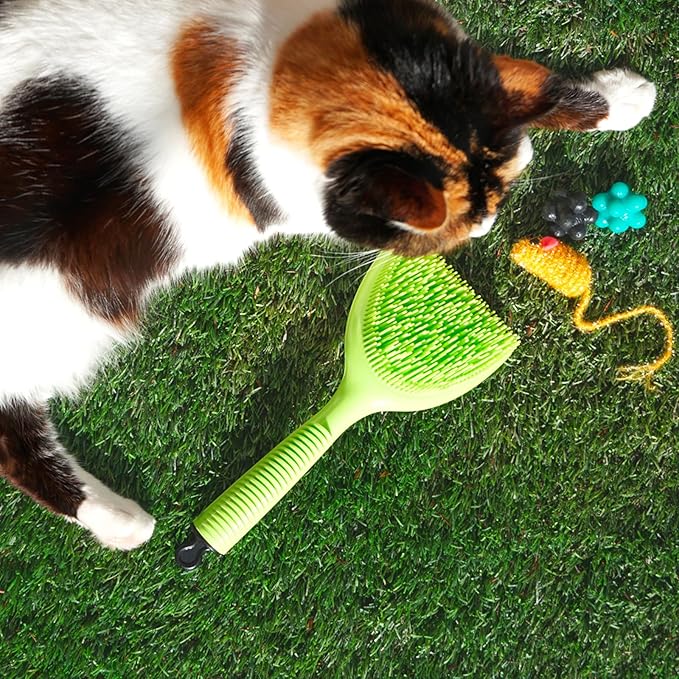 Michel Mercier Pet Detangling Brush Fine or Normal Fur - Pet Brush for Grooming, Detangling, Deshedding - Cat Brush and Dog Brush for Shedding - 1 pc