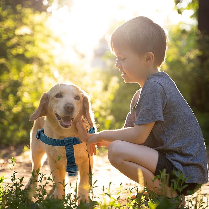 Dog Harness for Small Dogs Rayon Derived from Bamboo 90%, Polyester 10%, Step-in Adjustable Dog Harness XS XXS Dog Harness Available for Small Dogs-Teal Blue