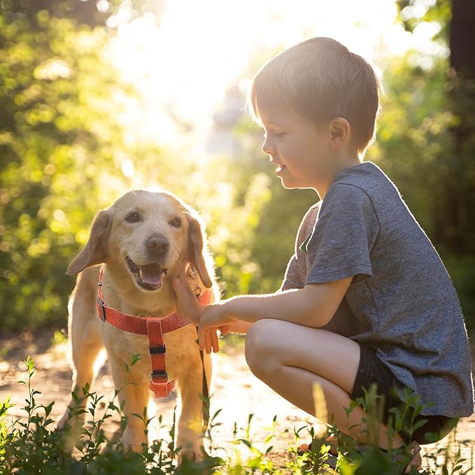 Dog Harness for Small Dogs Rayon Derived from Bamboo 90%, Polyester 10%, Step-in Adjustable Dog Harness XS XXS Dog Harness Available for Small Dogs-Orange