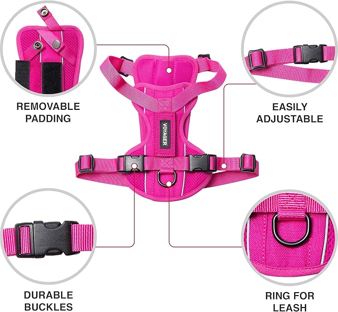 Voyager Freestyle 4-in-1 Dog Harness - Patent Pending Adjustable Webbing Harness with Removable Padding for Small to Large Dogs by Best Pet supplies - Fuchsia, L