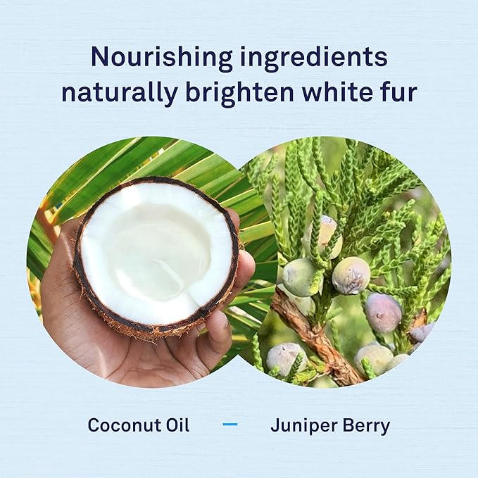 Petpost | Dog Whitening Shampoo - Best Lightening Treatment for Dogs with White Fur - Soothing Watermelon Scent - Maltese, Shih Tzu, Bichon Frise Approved 8 oz.