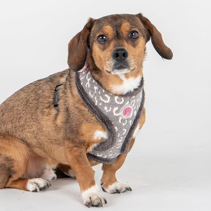 Pinkaholic New York Tailsy Dog Harness Over-The-Head Warm Winter Leopard Pattern Adjustable Chest for Small Dog, Grey, Large