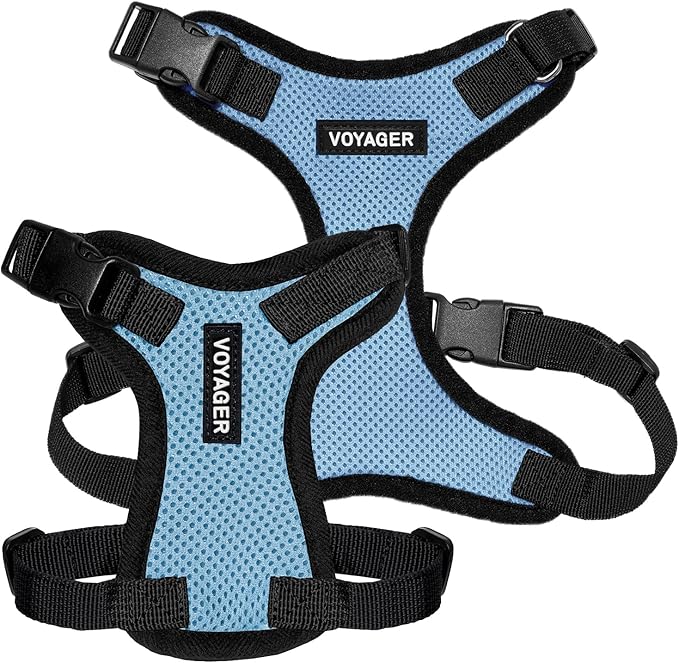 Voyager Step-in Lock Pet Harness - All Weather Mesh, Adjustable Step in Harness for Cats and Dogs by Best Pet Supplies - Baby Blue/Black Trim, S
