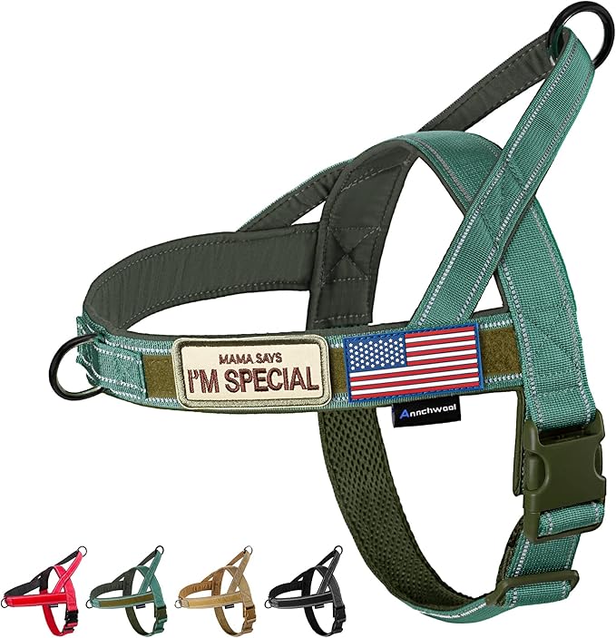 Annchwool No Pull Dog Harness with Soft Padded Handle,Reflective Strip Escape Proof and Quick Fit to Adjust Dog Harness,Easy for Training Walking for Small & Medium and Large Dog(Green,L)
