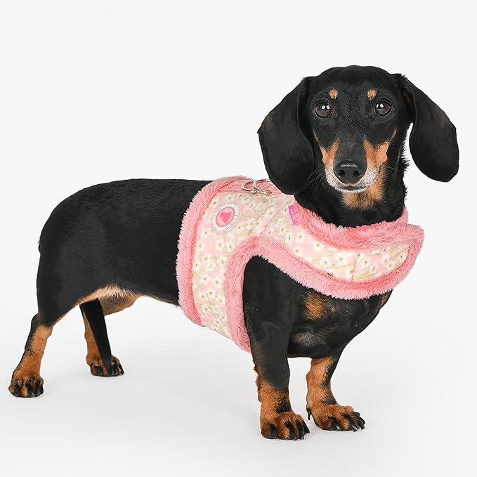 Pinkaholic New York Kalina Jacket Dog Harness Step-in Warm Winter Flower Pattern for Small Dog, Indian Pink, Medium
