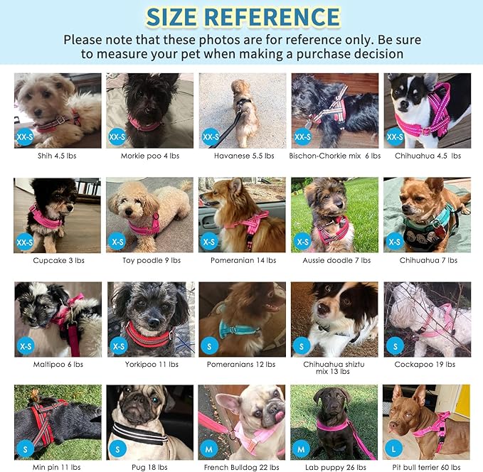 SlowTon No Pull Small Dog Harness and Leash Set, Puppy Soft Vest Harness Neck & Chest Adjustable, Reflective Lightweight Harness & Anti-Twist Pet Lead Combo for Small Medium Dogs (R-Front Clip,S)