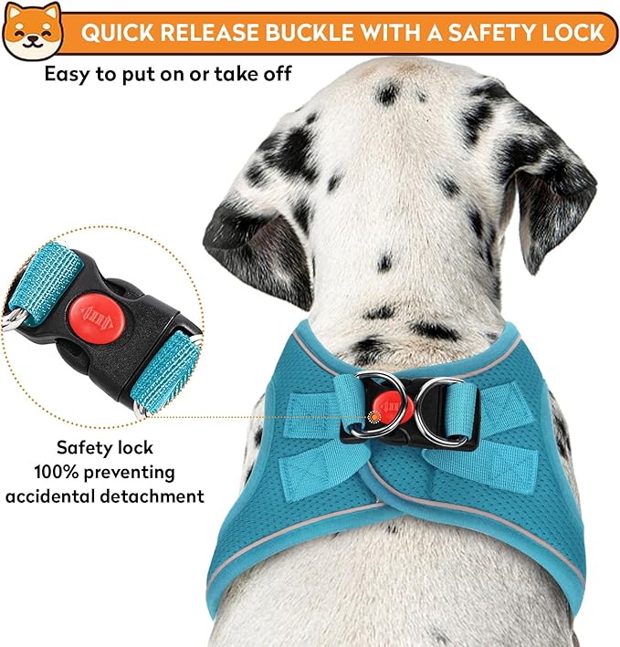 Dog Harness with Leash Set, No-Pull Step-in Reflective Pet Harness with 1 Leash Clips, Adjustable Soft Padded Easy Walk Dog Vest for Small Medium Large Dogs, Cats(Teal, XLarge)