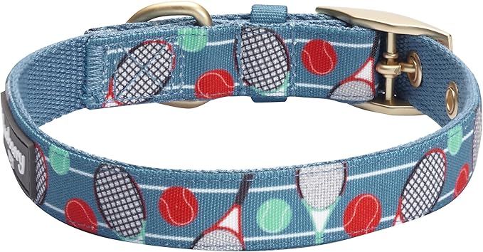 Blueberry Pet 5 Patterns Sports Fan Tennis Canvas Adjustable Dog Collar with Metal Buckle - Teal Blue, Neck 17-20.5", for Large Breed