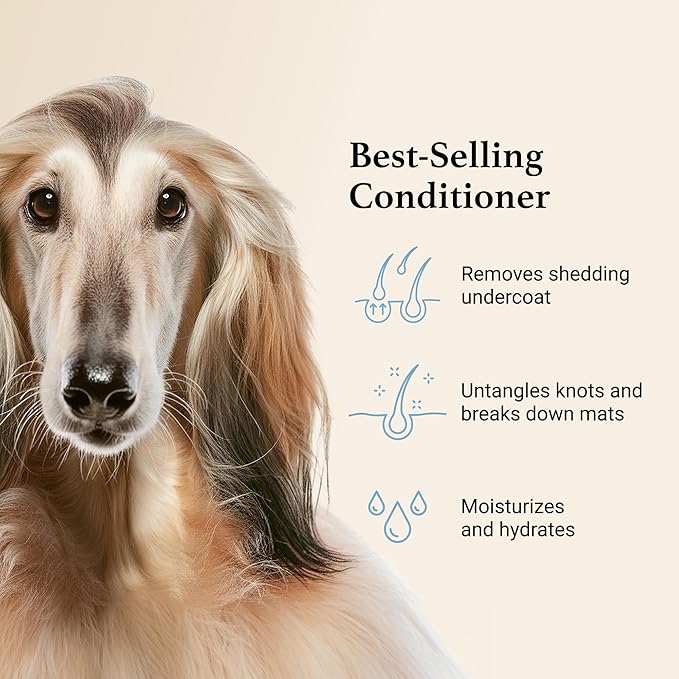 iGroom Deshedding & Detangling Dog Conditioner, Luxury Pet Beauty Care, Loosen Tangles + Unwanted Undercoat, Adds Shine + Volume, Made in USA (1 GAL)