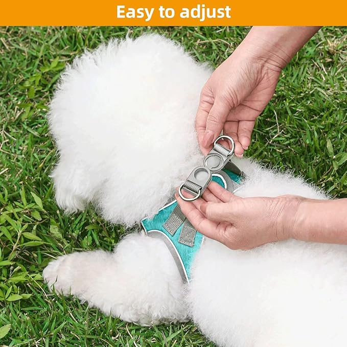 Dog Harness with Leash Set, Adjustable Soft Mesh Padded Reflective Dog Harnesse, Dog Leash with Soft Padded Handle, Puppy Harness and Leash Set for Walking,Training - Blue, XS