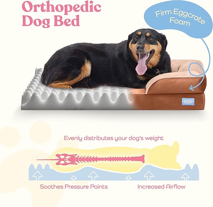 Orthopedic Sofa Dog Bed - Ultra Comfortable Dog Bed for Large Dogs - Breathable & Waterproof Pet Bed- Egg Foam Sofa Bed with Extra Head and Neck Support - (Medium, Brown)