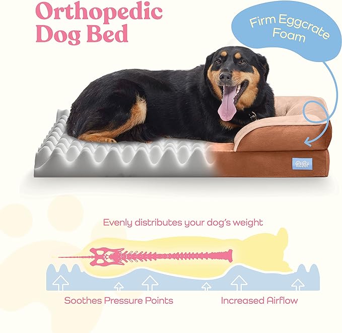 Pitpet Large Dog Bed - Orthopedic Foam, Plush Velvet, Waterproof, Easy Care, Dog-Friendly