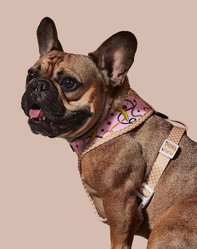 Ruffhaus NYC Pink Sprinkles Reversible Dog Harness, Ice Cream Waffle Cone, Banana Split Printed No Pull Harness Puppy Gift Girl Dog Birthday & Gotcha Day X-Small
