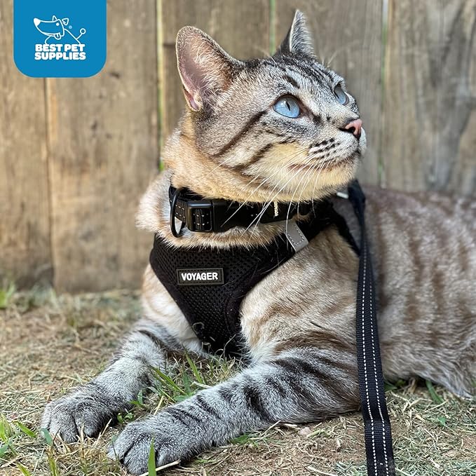 Voyager Step-in Air Dog Harness - All Weather Mesh, Reflective, No Pull Harness for Small, Medium Dogs, Cats - Secure with Hook & Loop Fastener, Buckle, Double D-Rings - Red/Black Trim, XS