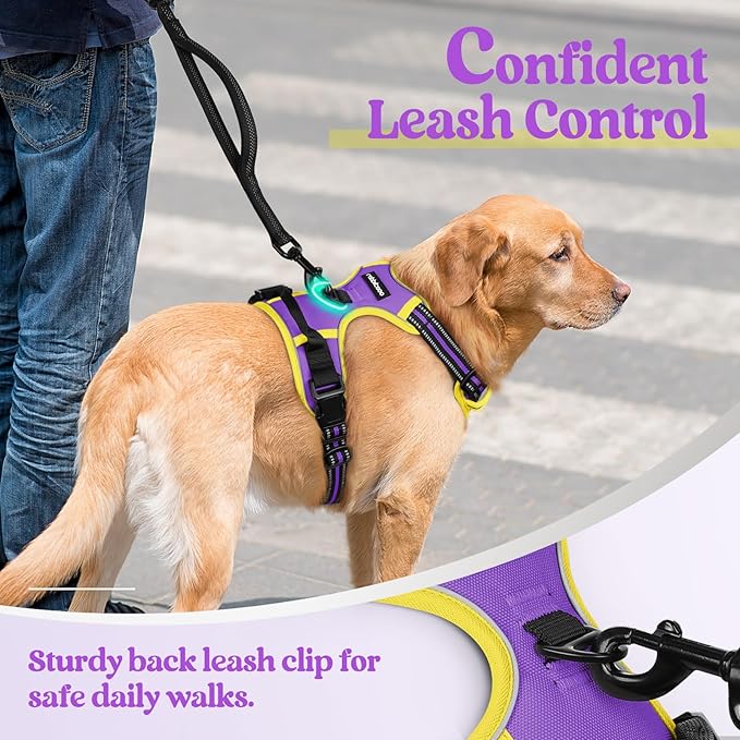 rabbitgoo Dog Harness, No-Pull Pet Harness with 2 Leash Clips, Adjustable Soft Padded Dog Vest, Reflective No-Choke Pet Oxford Vest with Easy Control Handle for Large Dogs, Purple & Yellow, XL