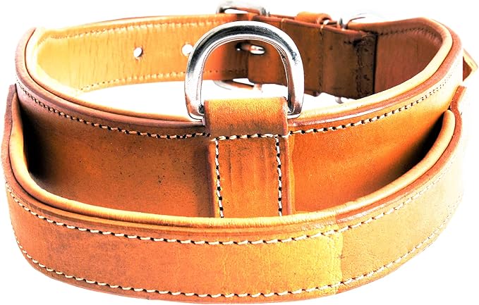 Leather Dog Collar with Handle, 2 Inch Wide Saddle Grade Brown Leather Dog Collar for Large Dogs | Heavy Duty, Comfortable, Inner Soft Padded | (L (Fit Neck Size 18.5"-22.5"), Light Brown)