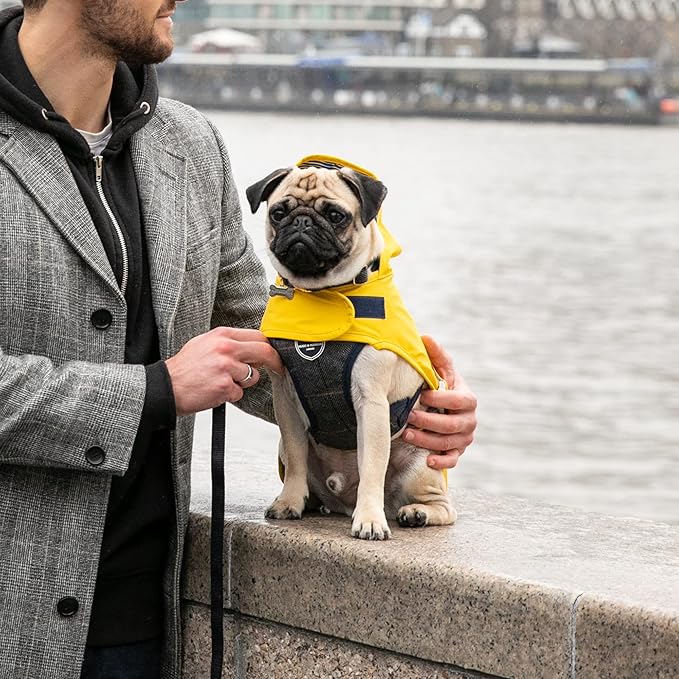 HUGO & HUDSON Dog Harness, No-Pull Anti Choke Tweed Harness Vest, Grey Checkered, XS