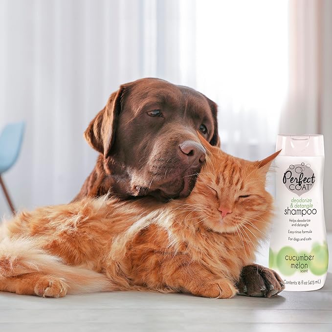 Detangle & Deodorize Shampoo