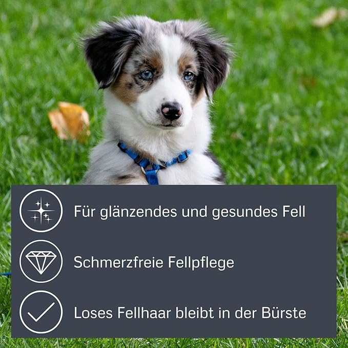 Curry Brush with Rubber Bristles for Pets