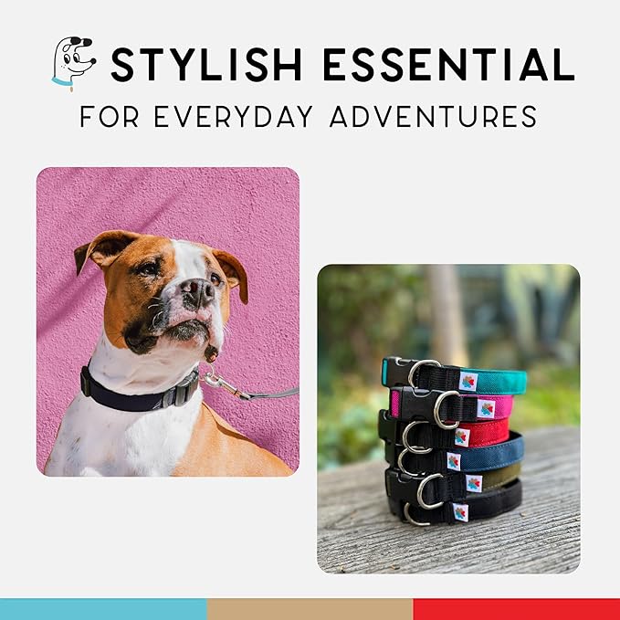 Dog Collar, Lightweight, Heavy Duty Dog Collar with Buckle, Fabric Pet Collar, Breathable & Adjustable Puppy Collar, Dog Collars for Medium Dogs (Black, Medium - 10-16 Inch) - Wildebeest