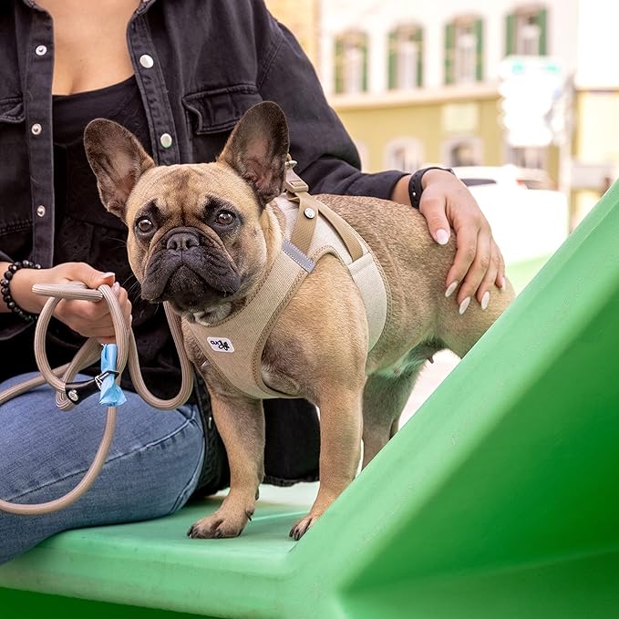 Vest Harness curli Clasp Cord Brown L