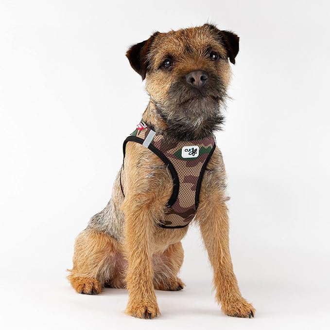 Curli Vest Harness Air-Mesh Skyblue S